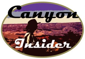 Canyon Insider Logo
